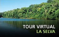 Tour Virtual