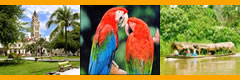 Travel To Iquitos