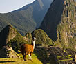 Trips to Peru
